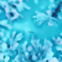 December - Single - Ghidd