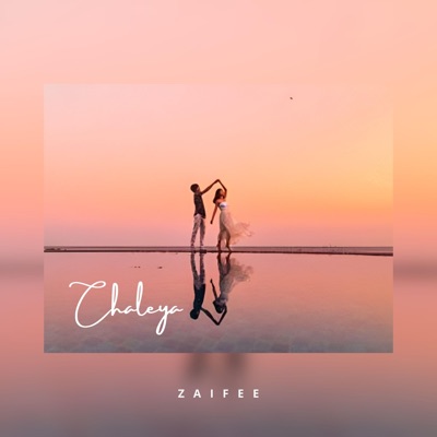 Zaifee - Chaleya (Slowed Down)