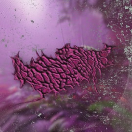 AxMx: PLASMOTIUM PARASITE TripDaMang