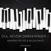 Gül Sevdik Dikeni Kader (Live Performance) artwork