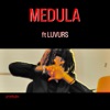 Medula (feat. Luvurs) - Single