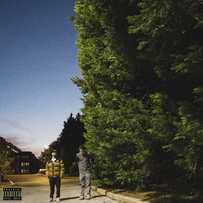 Options (feat. Goldmine) - Single