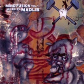 Mind Fusion, Vol. 1: Hip-Hop (DJ Mix) artwork