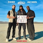 We Won't Forget (feat. Karter Zaher, Jae Deen & Shadi Akhi) artwork