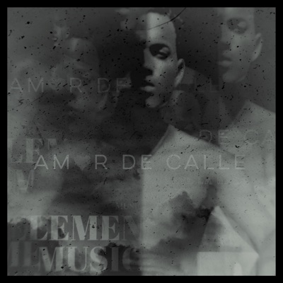 AMOR DE CALLE (feat. KAYL LA RAZA) - Single