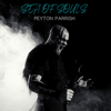 Sea of Souls - Peyton Parrish