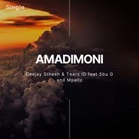 Amadimoni (feat. Tearz iD, Sbu G & Mpellz) - Single - DeeJaY Sthesh