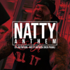 Natty Anthem (Rich Piana Workout Song) - 5% Nutrition
