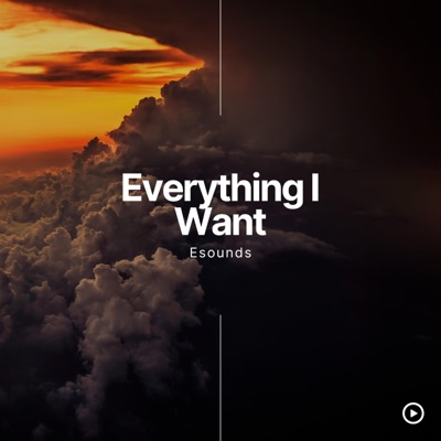 Everygthing I Want - Single