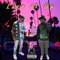 Live It Up (feat. Tracy Green & sjvvs) - Single - TeeGeeTheProducer