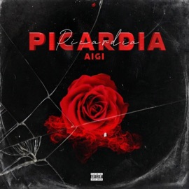 PICARDIA AiGi
