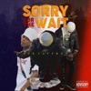 Sorry 4 the Wait - Single