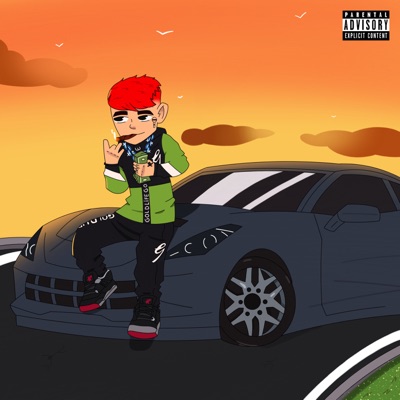 Conta Bancária - Single