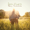 Hazy Sunshine - Dennis Ellsworth