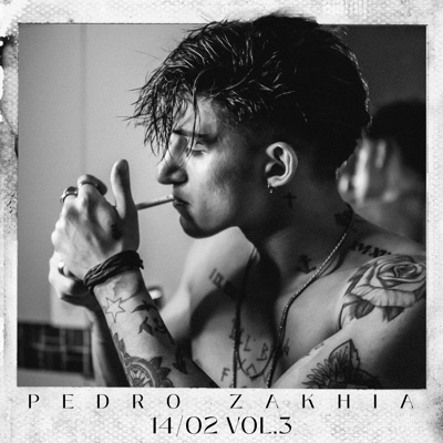 14/02 Vol.3 (feat. Alfredo Belotto) - Single