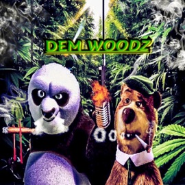 Dem Woodz (feat. BigKingFish) Bigg BZ