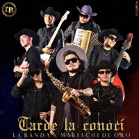 Tarde la conocí (feat. Mariachi de oro) - Single - La Banda
