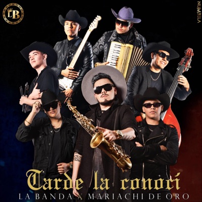 Tarde la conocí (feat. Mariachi de oro) - Single