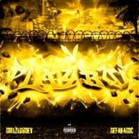 Playboi (feat. GirlzLuhDev) - Single - UnkownGasser