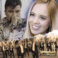 Ojos Marrones - Single - Banda Primos Desde el Cerro del Coyote