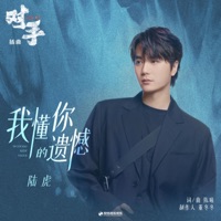 我懂你的遗憾 (《对手》影视剧插曲) - Single - Lu Hu