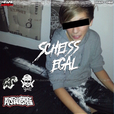 Scheiß egal (Remix) - Single