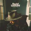 David Leonard - Every Hour