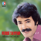 Nisan Yağmuru song art