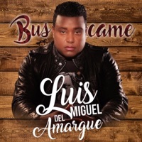 Búscame - Luis Miguel del Amargue