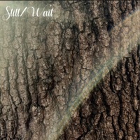Still/Wait - Single - Matthew Mozingo