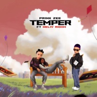 Temper (feat. Neliy Ridiim) - Single - Prinx Zee