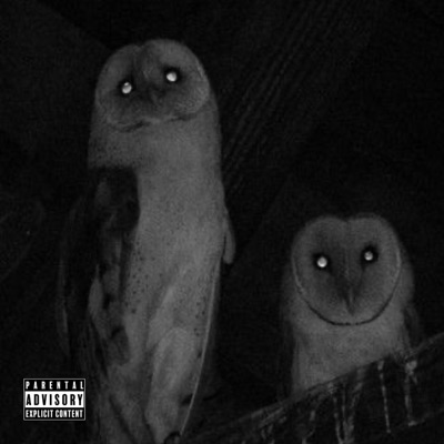 Birds - Single