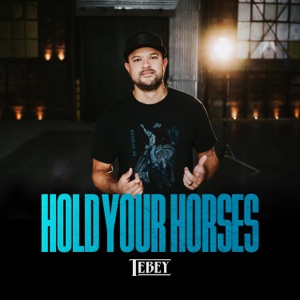 Tebey - Hold Your Horses - Line Dance Music