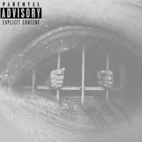 V0!C3s - Single - GingerBread D