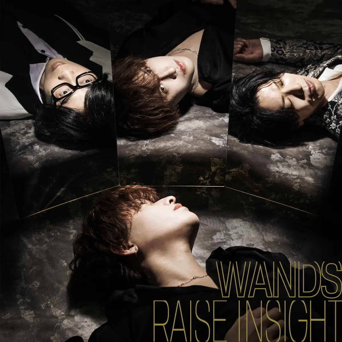 WANDS - RAISE INSIGHT - Single (2023) [iTunes Plus AAC M4A]-新房子