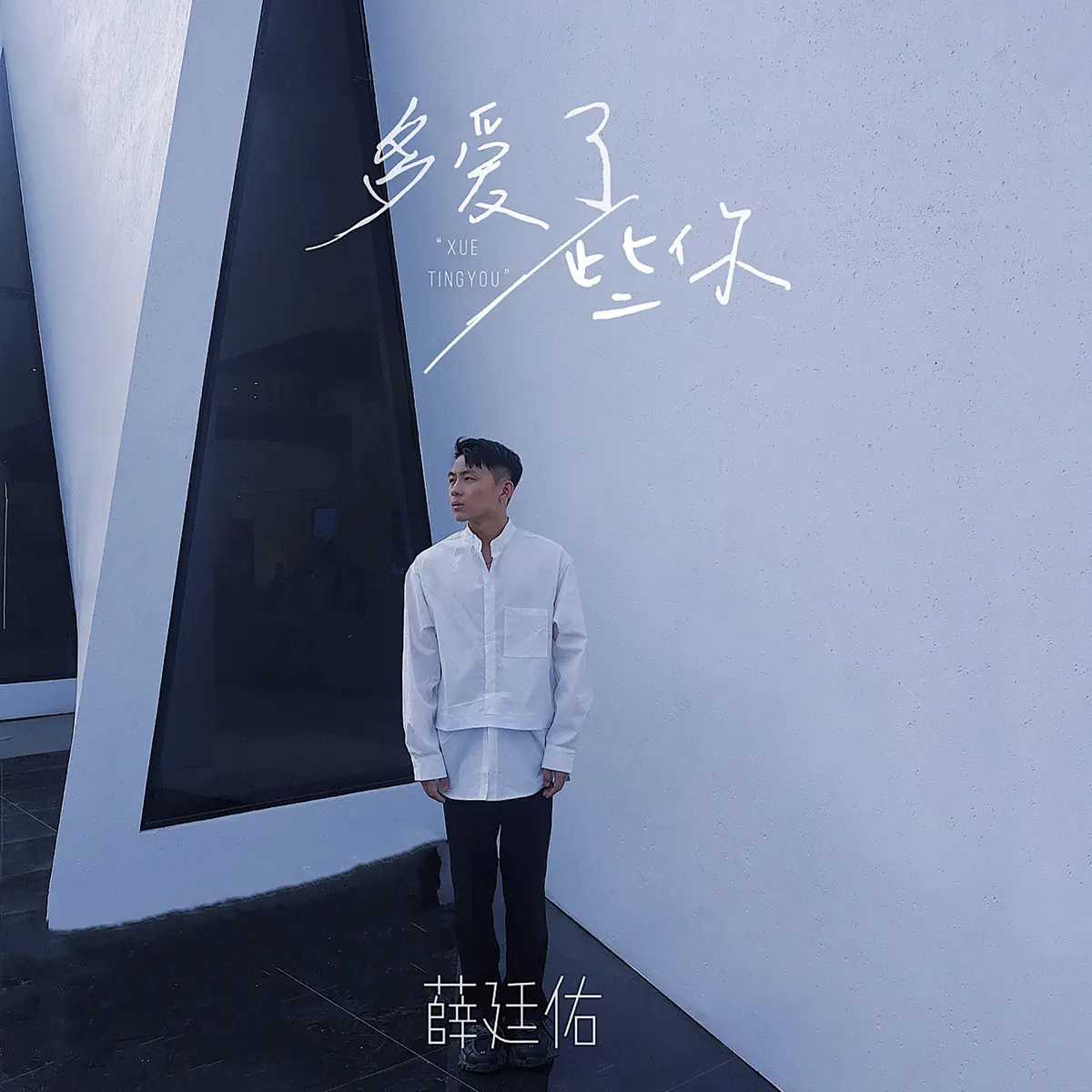 薛廷佑 - 多愛了一些你 - Single (2023) [iTunes Plus AAC M4A]-新房子