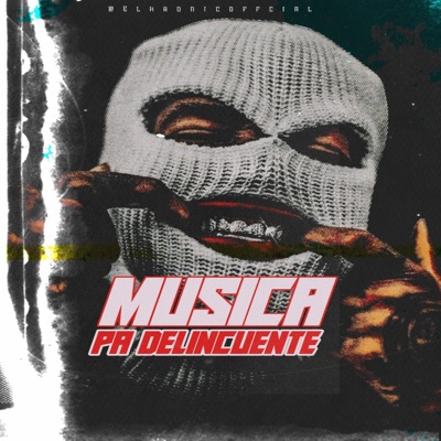Música Pa Delincuente - Single