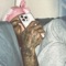 G.A.L.V - 311$treet lyrics