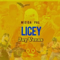 Mieida Pai Licey - Single - Jay Veras