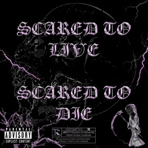 From Gravez. (Live)