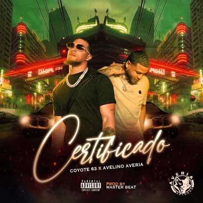Certificado - Single