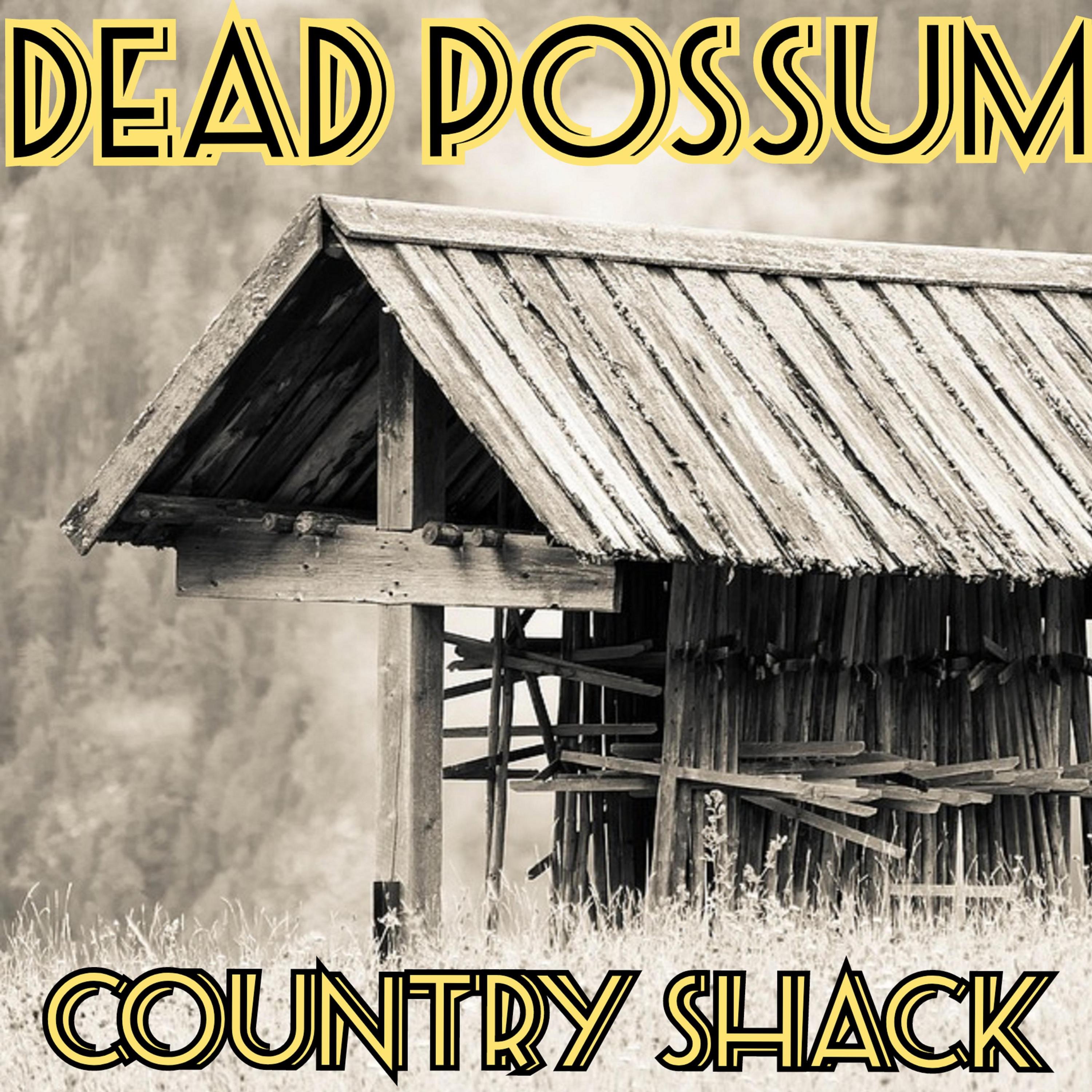 Ignore the Sign - Radio Barbarossa ID Spot