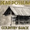 Confederate Red-Nex - Dead possum lyrics
