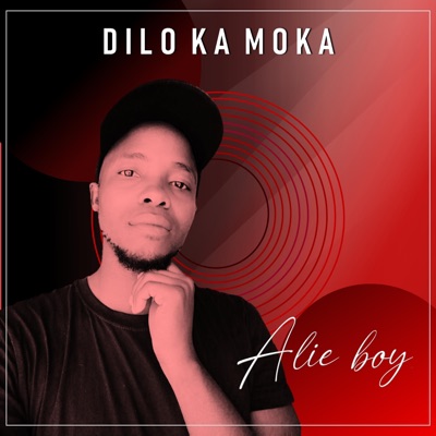 Dilo Ka Moka - Single