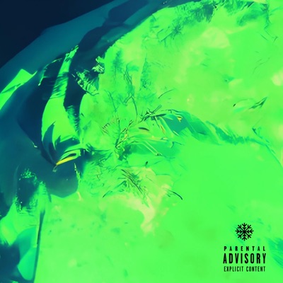 tropical haze - Single