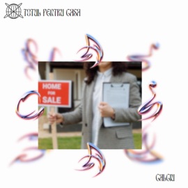 Totul-Pentru-Casa CALCIU