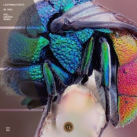 Be Free - Single - Lightning Effect