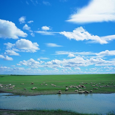 しっぽルフィ - サンプル