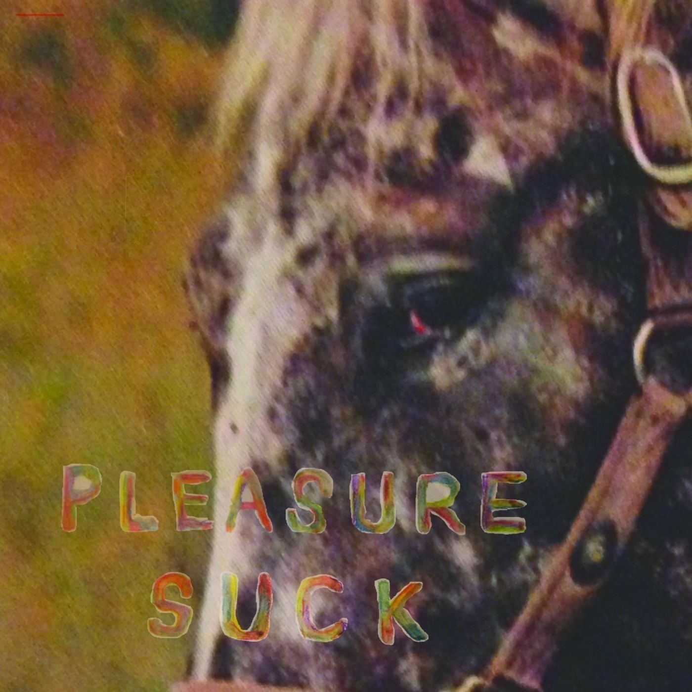 Pleasure Suck by SPIRIT OF THE BEEHIVE