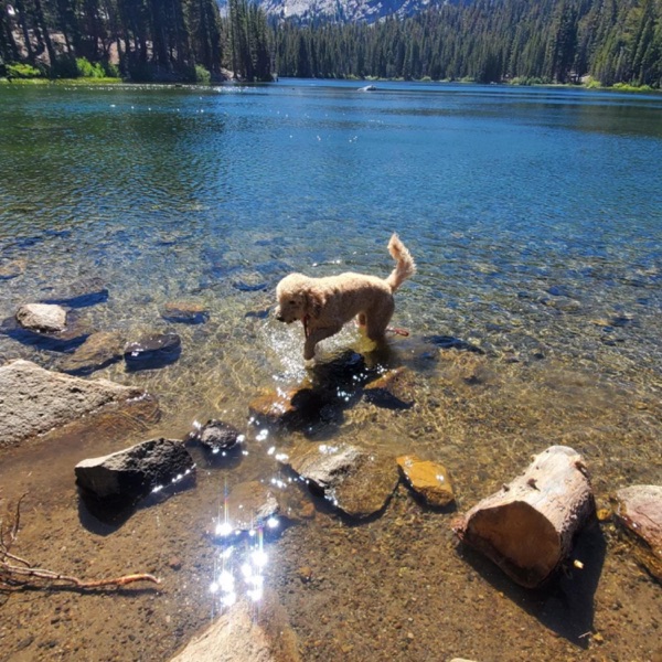 Afraid of Water